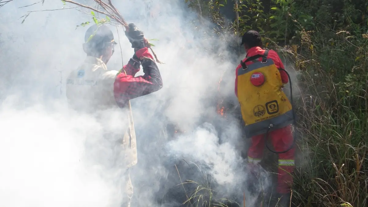 GOTONG ROYONG: Petugas Balai Taman Nasional Tambora memadamkan api menggunakan alat sederhana, untuk mencegah meluasnya karhutla, beberapa waktu lalu. (BALAI TN TAMBORA FOR LOMBOK POST)