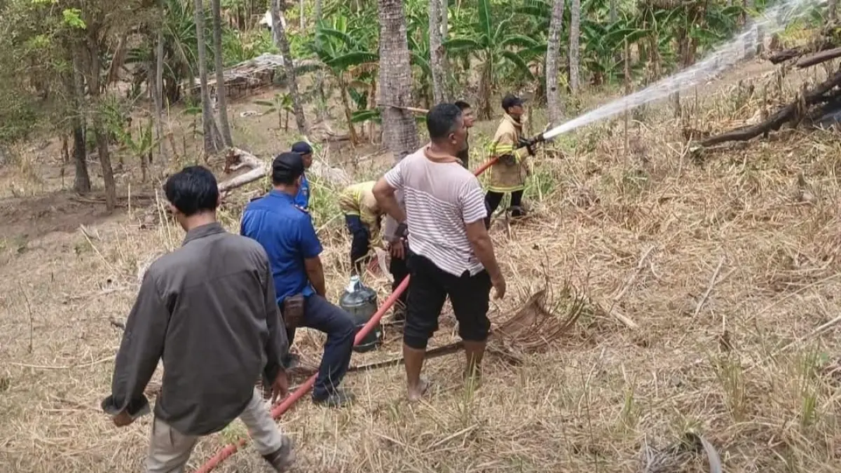 PADAMKAN: Tim Damkarmat Lobar saat memadamkan api di lahan Batulayar, beberapa hari lalu. (IST/LOMBOK POST)