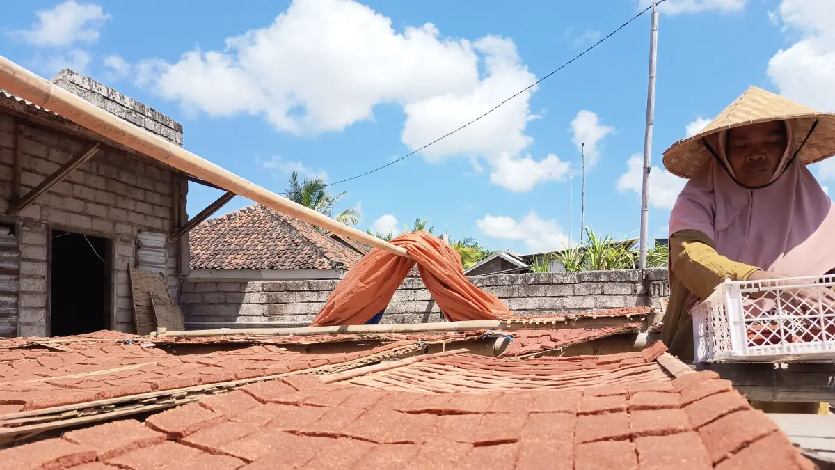 TERASI UDANG: Seorang buruh pembuat terasi udang asli di Dusun Jor sedang mengangkat terasi yang sudah kering di tempat penjemuran.