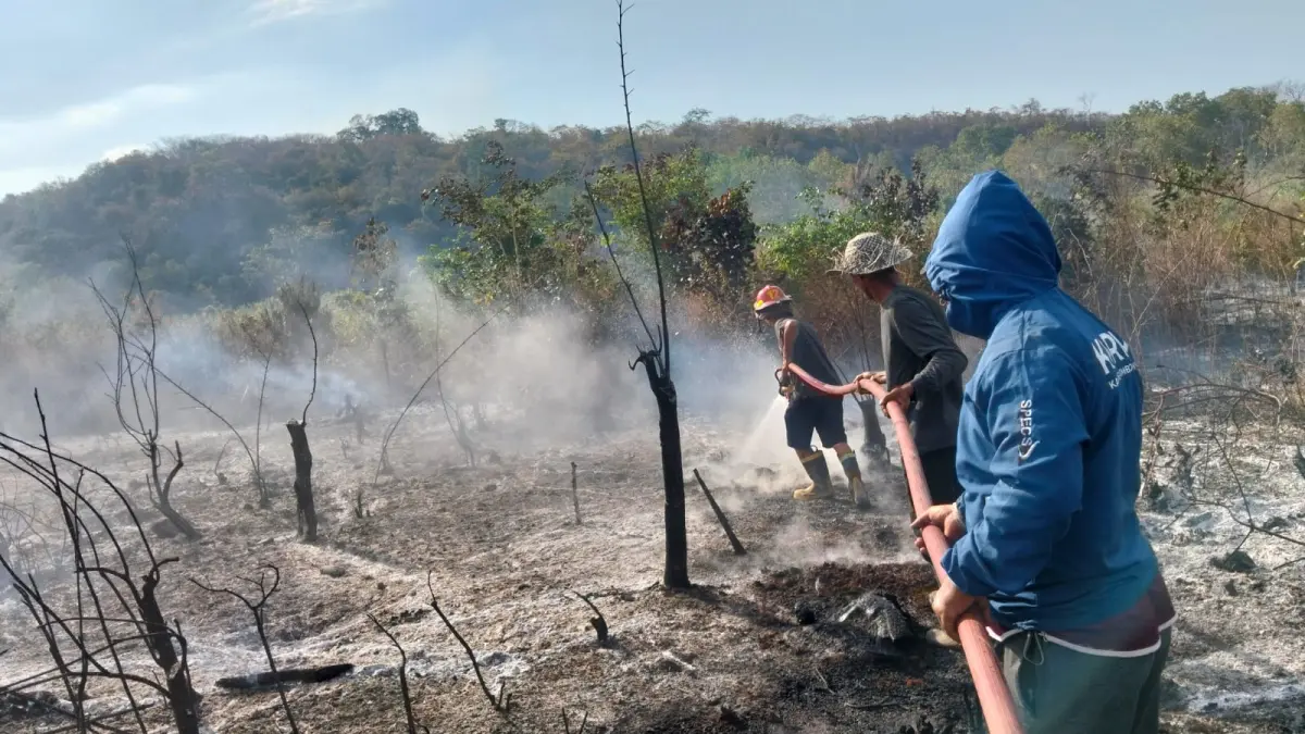 JINAKKAN SI JAGO MERAH: Petugas berjibaku memadamkan kobaran api yang membakar lahan di Dusun Dara Kunci, Desa Dara Kunci, Kecamatan Sambelia, Kabupaten Lombok Timur, awal September ini. (BPBD NTB FOR LOMBOK POST)
