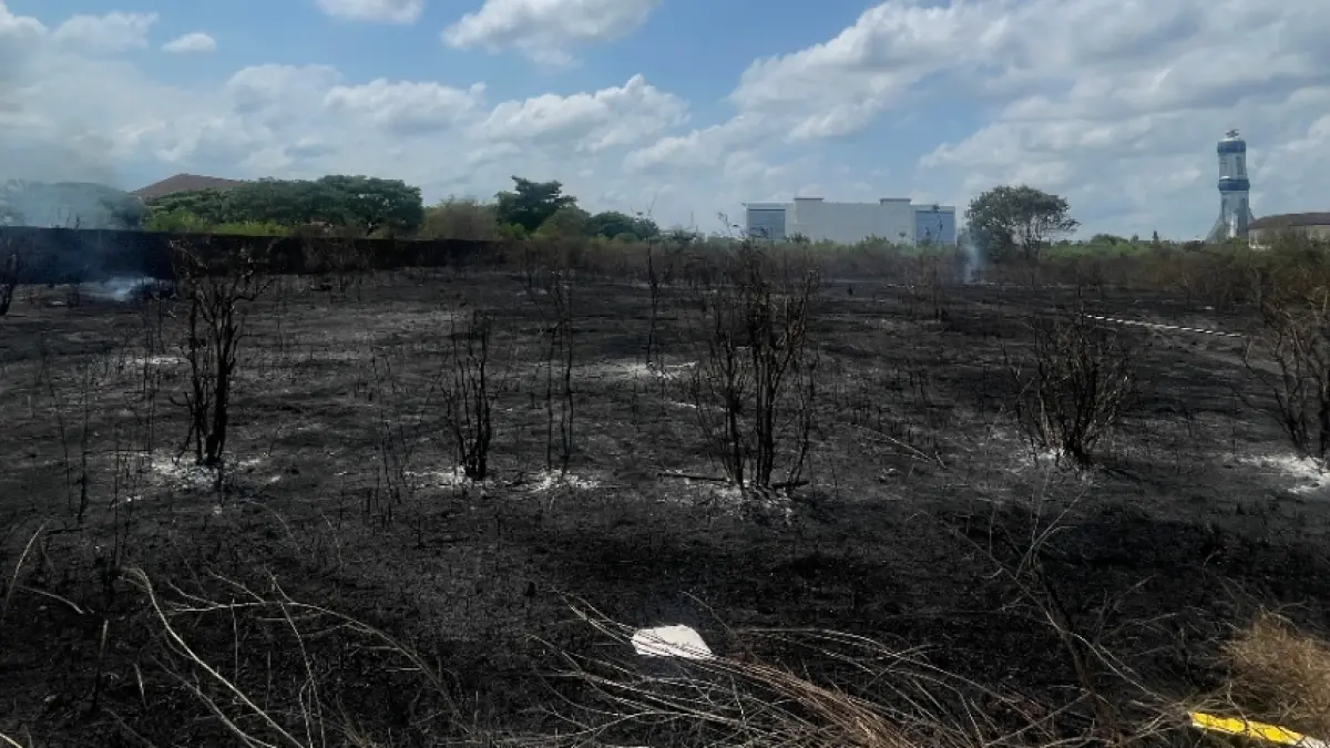 Lahan kosong di sisi barat Kantor Wali Kota Mataram yang dipenuhi vegetasi kering ludes terbakar