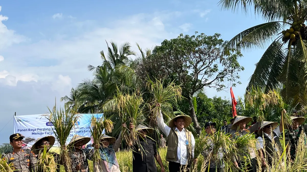 PANEN RAYA: Direktur Utama Perum Bulog Letjen (Purn) Ahmad Rizal Ramdhani (lima kanan) melakukan panen raya di Lombok Utara, beberapa waktu lalu. (FERIAL/LOMBOK POST)