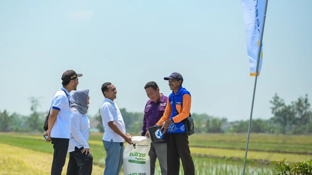 Pupuk Kaltim Perkuat Pendampingan Agrosolution Lewat Pemupukan Padi di PojokRejo Jombang.