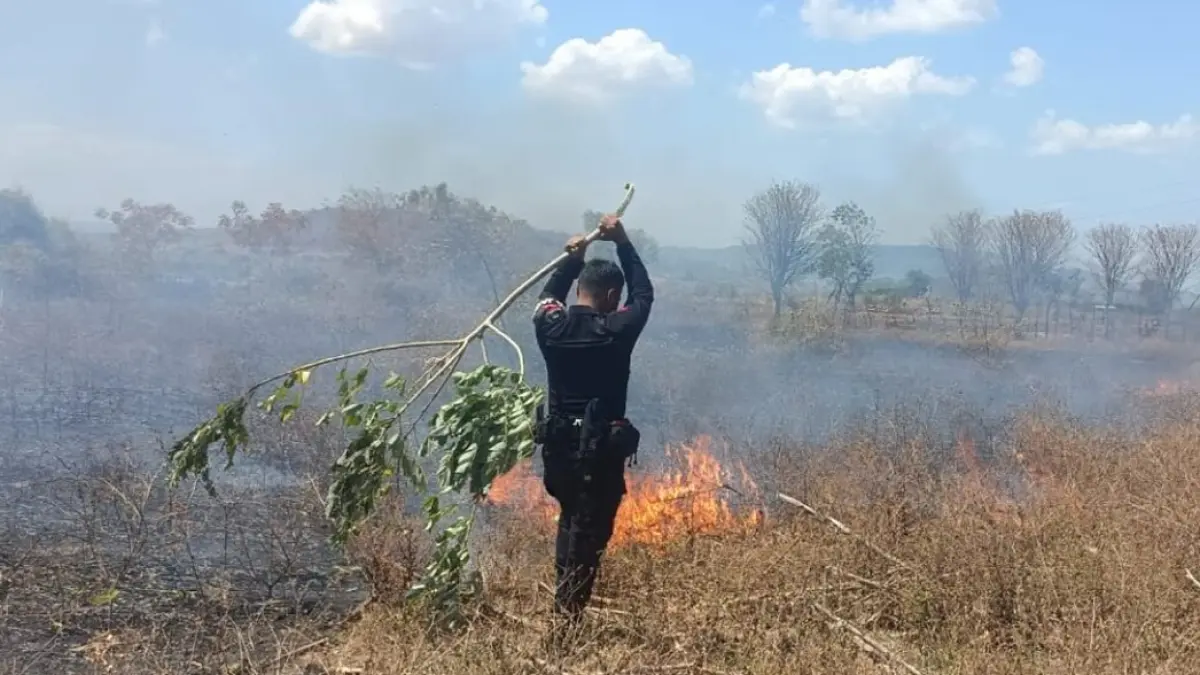 Personel Subden 3 Detasemen Gegana Satuan Brimob berusaha memadamkan api di lahan Kabupaten Sumbawa, Selasa (15/9).