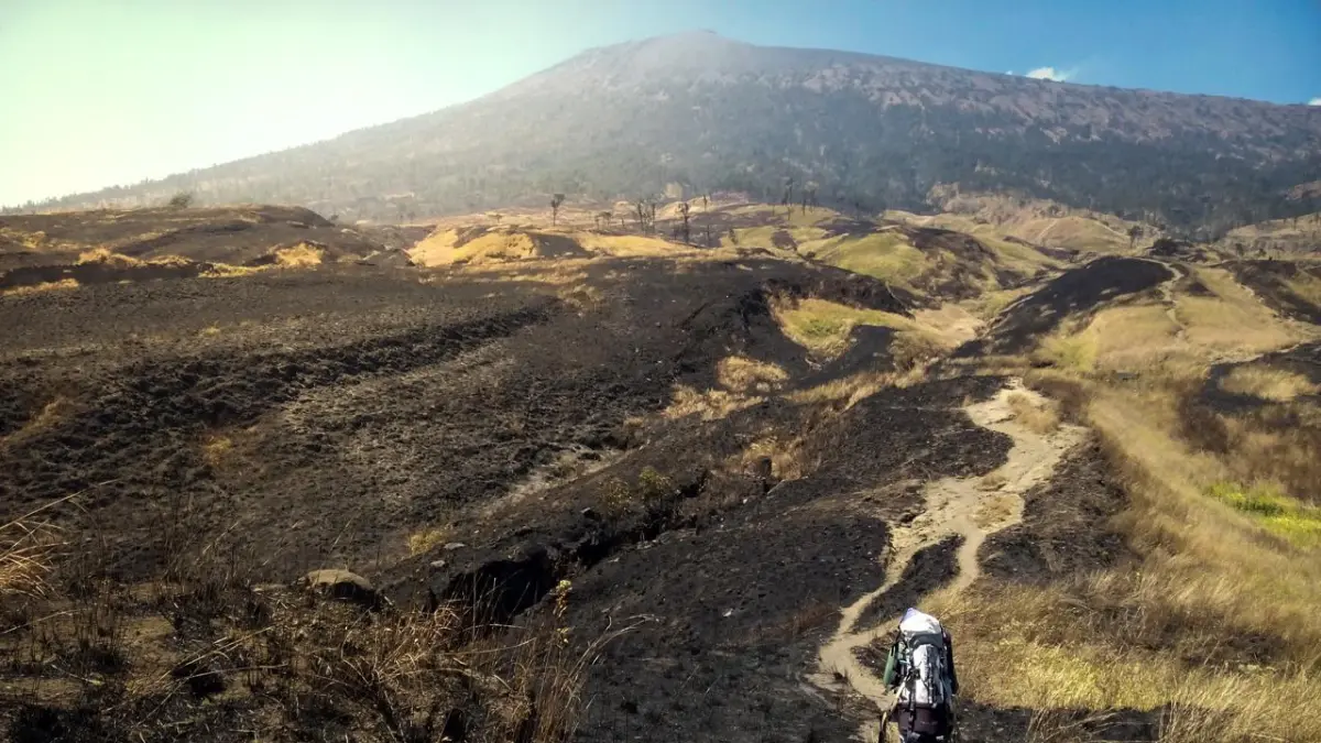 PENDAKI RINJANI: Seorang pendaki sedang berjalan menyusuri jalur pendakian sembari menikmati keindahan alam sekitar Rinjani saat melakukan pendakian belum lama ini.