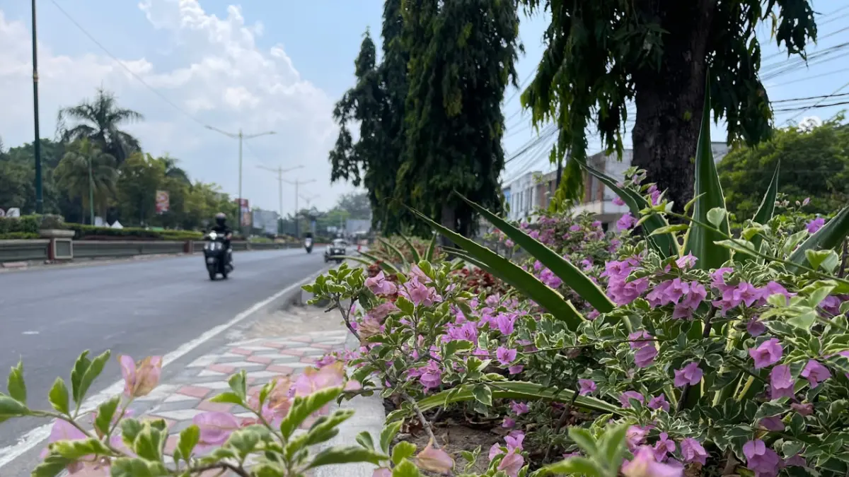 Bunga bermekaran di taman mini trotoar jalan Adi Sucipto, Kota Mataram.