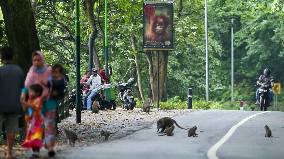 JALAN WISATA: Jalur Pusuk menjadi salah satu jalan wisata yang kerap disinggahi wisatawan. (IVAN/LOMBOK POST)