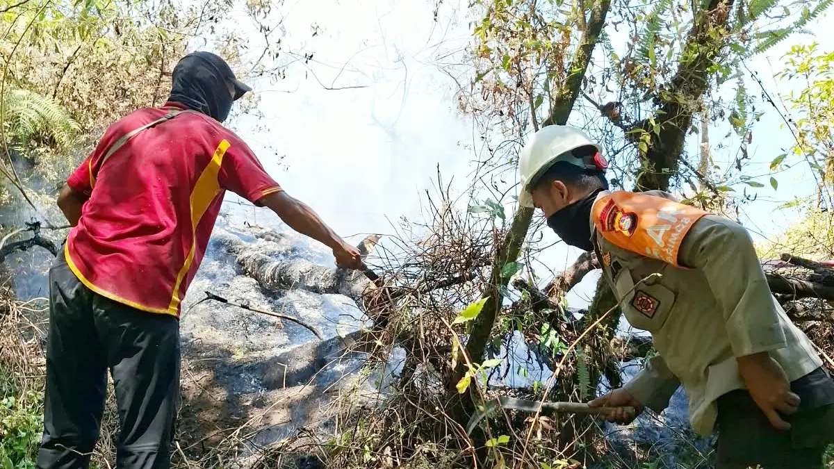 Petugas gabungan terus berjibaku memadamkan kebakaran di kawasan Bukit Setampol, di kawasan Rinjani, Lombok Utara, Sabtu (26/9). (DOK. BALAI TNGR)