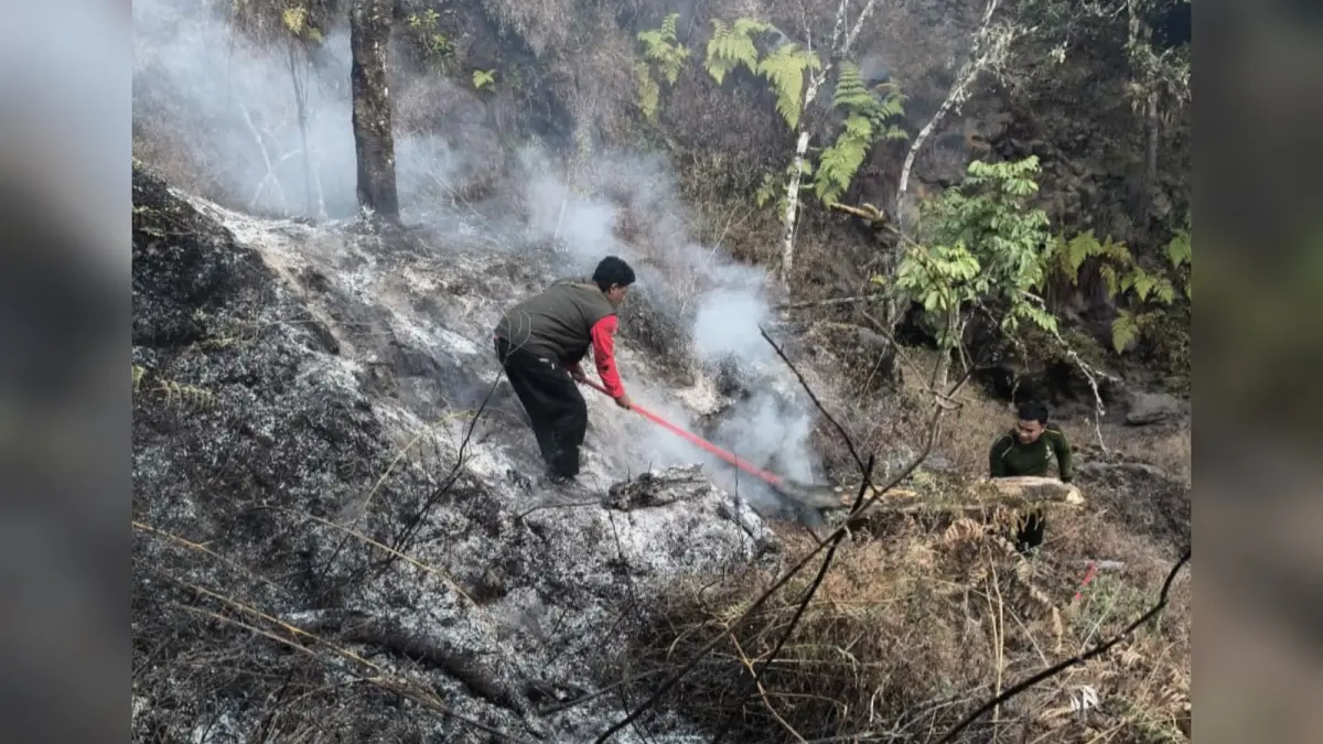 Petugas berjibaku memadamkan kebakaran hutan di kawasan Bukit Setampol, Puncak Sangkareang, TNGR, Sabtu (26/9). (Dok.Balai TNGR)