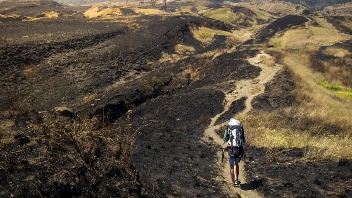 MENUJU PUNCAK: Seorang pendaki menapaki jalur pendakian Gunung Rinjani di tengah cuaca panas terik, beberapa waktu lalu. (IVAN/LOMBOK POST)