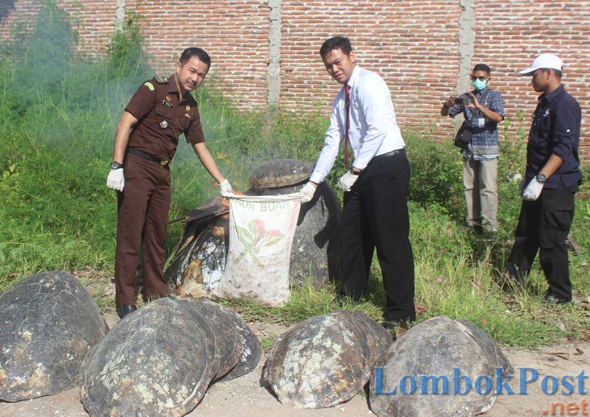PEMUSNAHAN: Kepolisian memusnahkan barang bukti dari hasil tindak pidana terhadap satwa dilindungi di Polres Bima Kota, kemarin