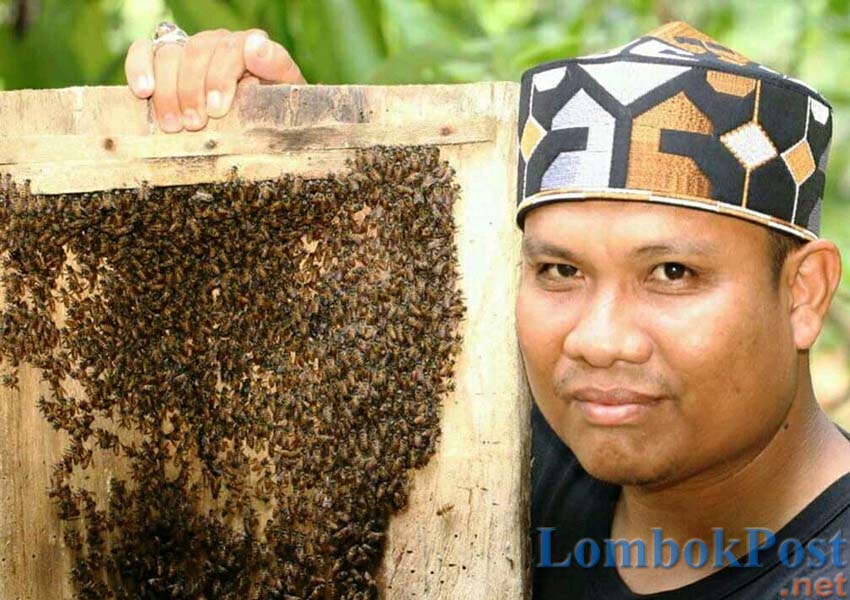 NIKMAT MENYEHATKAN: Imamul Azkar menunjukkan proses pembuatan madu trigona di tempat budidaya miliknya belum lama ini.