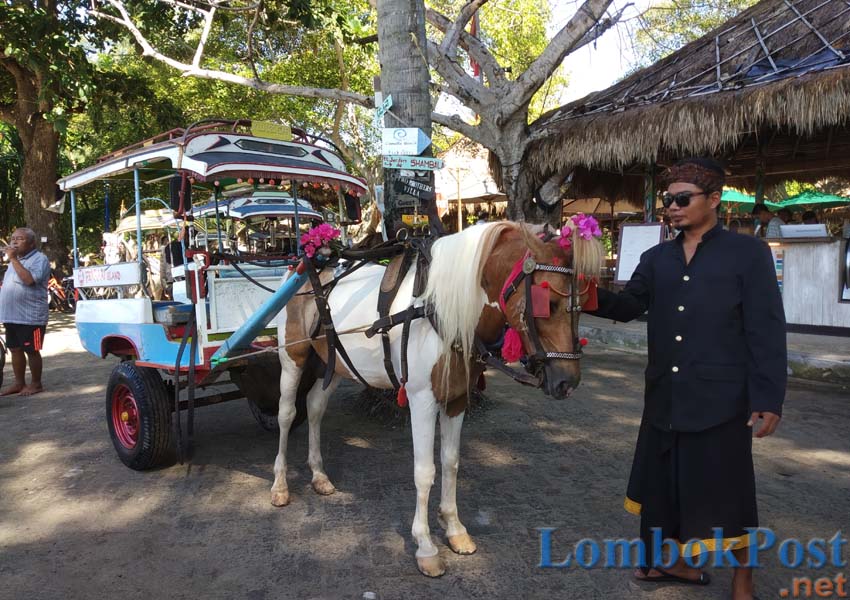 MENUNGGU PENUMPANG: Salah satu cidomo tengah menunggu kedatangan wisatawan di depan pintu masuk dermaga Gili Air, beberapa waktu lalu