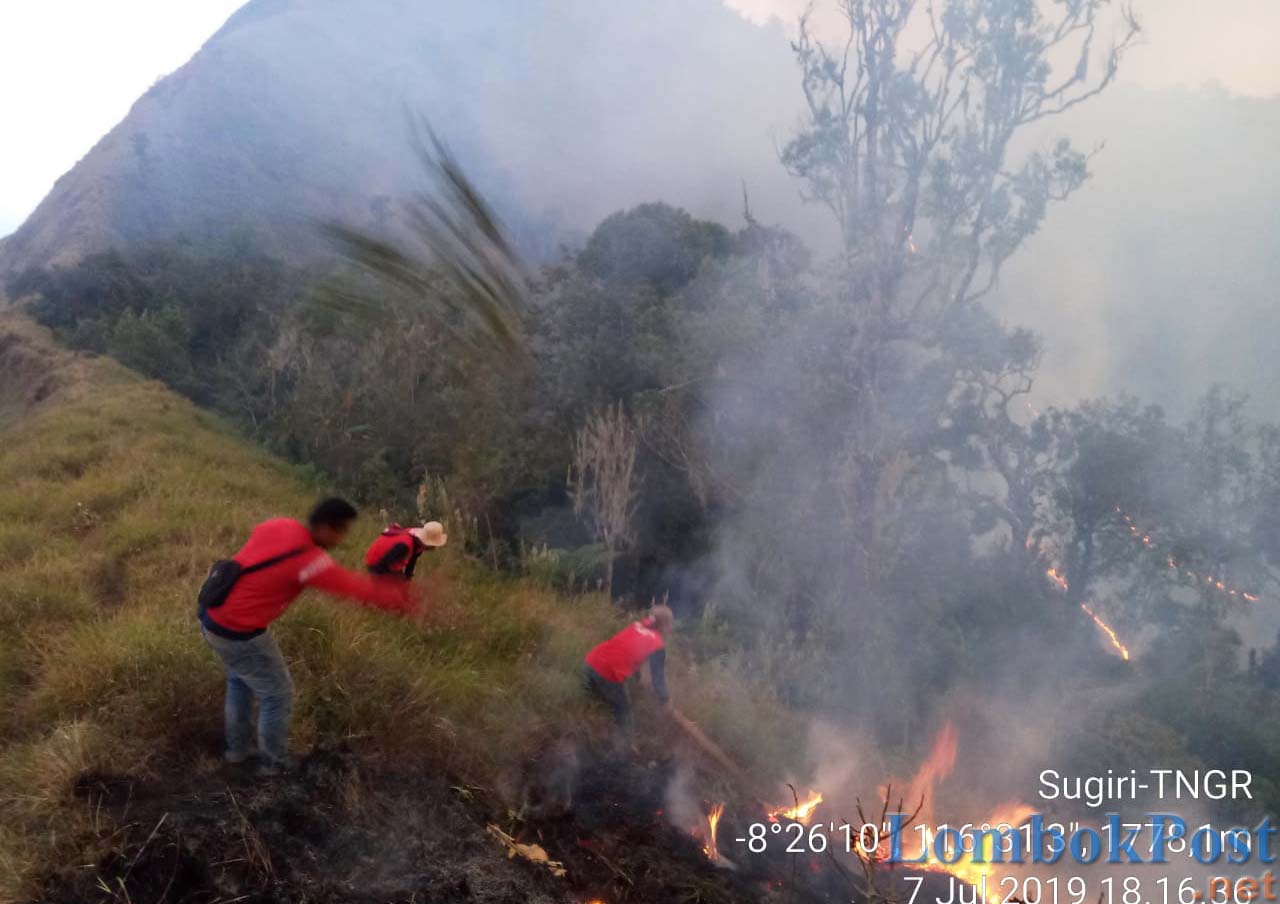 KEBAKARAN: Petugas TNGR memadamkan api yang membakar padang savana Propok yang masuk kawasan hutan TNGR, kemarin (8/9).