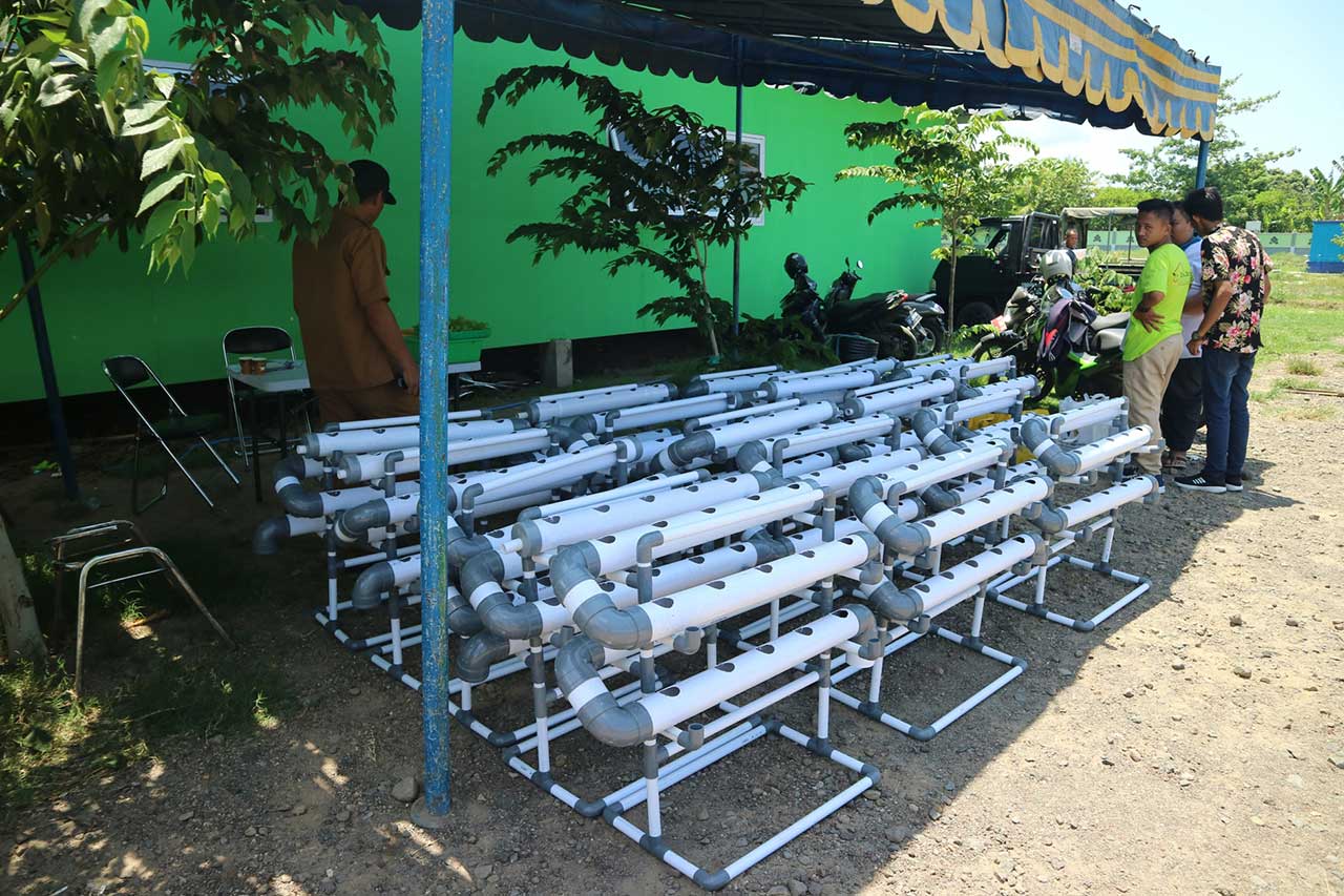 PRAKTIK: Peserta pembekalan wirausaha diperkenalkan dengan peralatan yang diperlukan untuk budidaya hidroponik, kemarin (10/12).