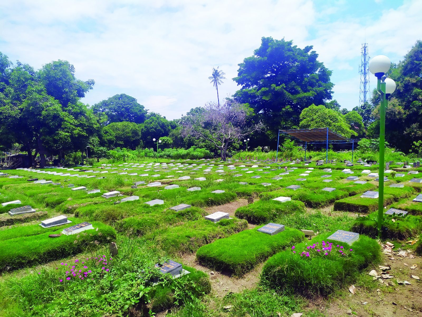 SUDAH PENUH: Pemakaman di TPU Karang Medain sudah dipenuhi oleh kuburan warga Kota Mataram.