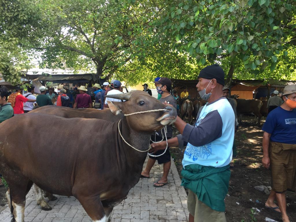 Ilustrasi Pasar Ternak (dok. Lombok Post)