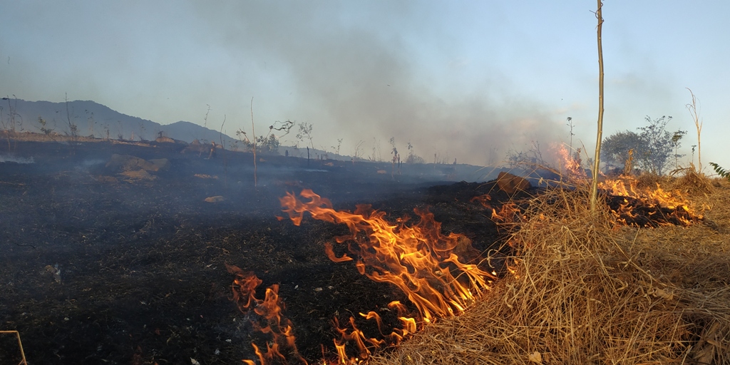 DAMPAK KEKERINGAN: Lahan-lahan di Kecamatan Kempo, Kabupaten Dompu terbakar, Senin (27/8/2020).
