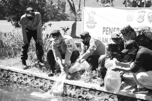 KAMPUNG SEHAT: Kapolres KSB, AKBP Herman Suriyono didampingi Dandim 1628/SB, Letkol CZI Eddy Oswaronto melepas benih ikan saat meninjau kampung sehat di Desa Kalimantong, Kecamatan Brang Ene, Kamis (16/7).( POLRES KSB For Lombok Post)