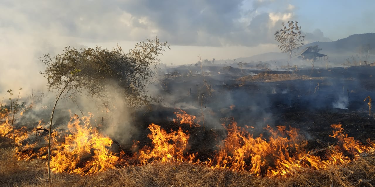 TERBAKAR: Lahan-lahan di luar kawasan hutan dibakar untuk membuka lahan bagi tanaman semusim di Kabupaten Dompu, beberapa waktu lalu.