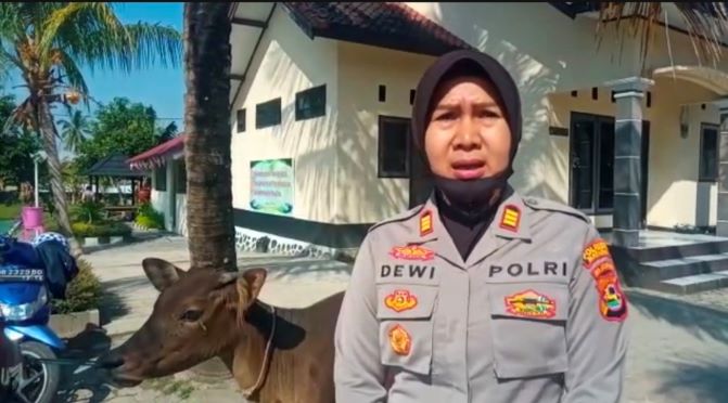 GAGALKAN PENCURIAN HEWAN TERNAK: Kapolsek Lingsar AKP Dewi Komalasari memberikan keterangan atas pencurian hewan ternak, kemarin  (27/8). (HARLI/LOMBOK POST)