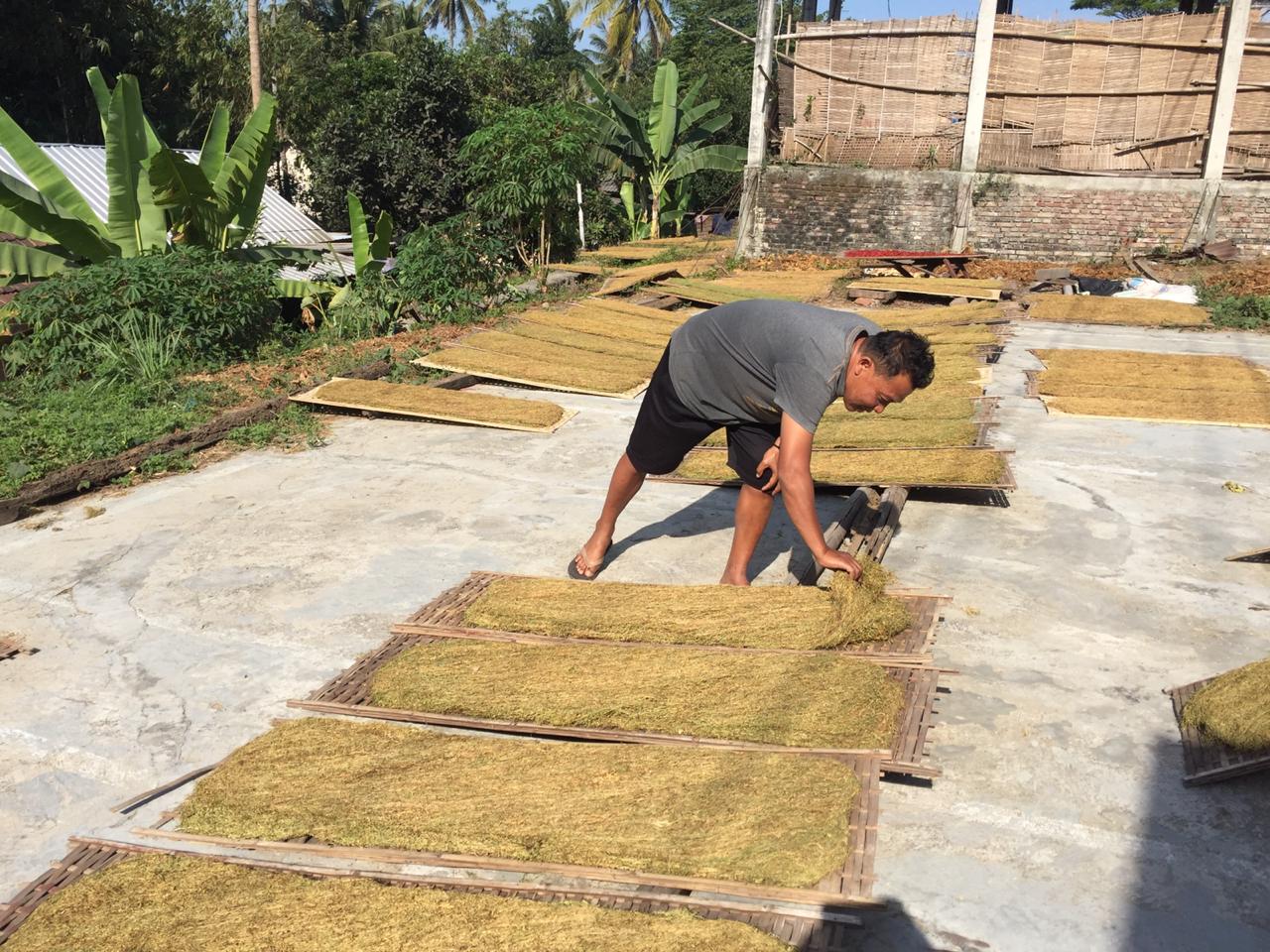 JEMUR TEMBAKAU: Sejumlah petani Tembakau Rajangan di Desa Perigi, memotong hasil panen tembakau di teras rumahnya, Senin (31/8/2020).