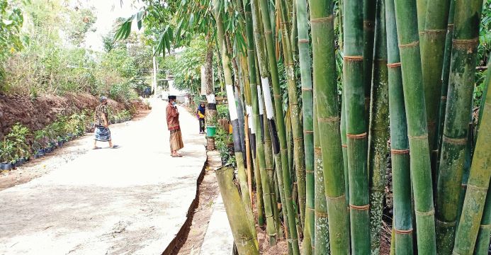 ADEM DAN BIKIN BETAH: Dusun Mertak Men, Desa Juran Jaler, Kecamatan Praya Tengah, Lombok Tengah ini, meraih juara satu lomba kampung sehat tingkat kecamatan. Saat ini, dusun ini bersiap dinilai di tingkat kabupaten untuk inovasi yang dimilikinya. ( DEDI/L
