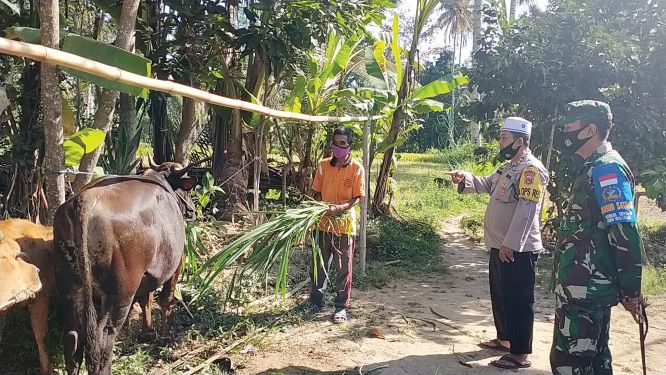 KUNJUNGI PETERNAK SAPI: Kapolres Lotim AKBP Tunggul Sinatrio bersama Dandim 1615 Lotim Letkol Inf Agus Prihanto Donny menyambangi salah seorang peternak di Lotim, belum lama ini.( TUNGGUL FOR LOMBOK POST)