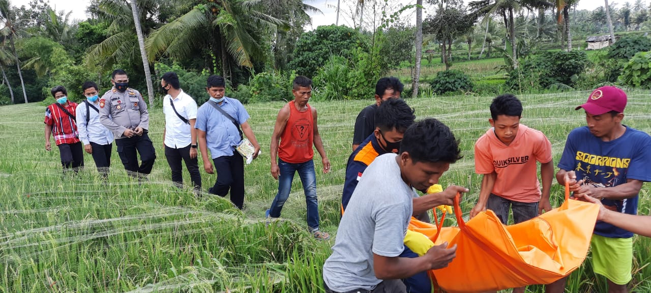 EVAKUASI: Anggota Polsek Selong dibantu warga membawa kantong mayat berisi jenazah yang ditemukan di tengah sawah di Lingkungan Muhajirin, Kelurahan Pancor, Kecamatan Selong, Selasa (12/1). (Syarif for Lombok Post)
