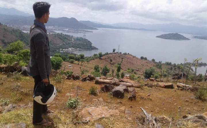MULAI GUNDUL: Sebagian hutan di wilayah Kelurahan Kolo, Kota Bima beralih fungsi menjadi lahan pertanian, belum lama ini.