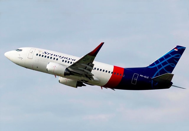 Ilustrasi Pesawat Sriwijaya Air (Ist/jpg)