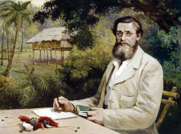 Lukisan Alfred Russel Wallace sedang berada di pulau Waigeo di Papua Nugini oleh Henry Constantine Richter. (sumber: ucla.edu)