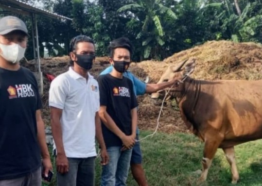 BERBAGI PADA SESAMA: Salah satu hewan kurban yang disalurkan Yayasan HBK Peduli di Pulau Lombok, Ahad (18/7).