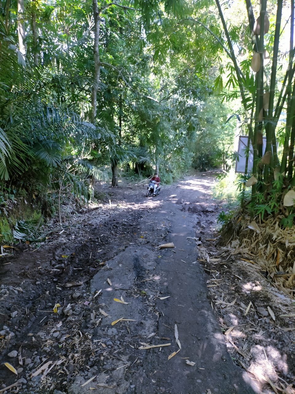 RUSAK PARAH: Seorang pengendara roda dua melewati jalan yang rusak parah di Dusun Batu Butir, Desa Kekait, Kecamatan Gunungsari, Kamis (26/8/2021). Jalan yang rusak parah ini sangat membahayakan bagi pengguna jalan.