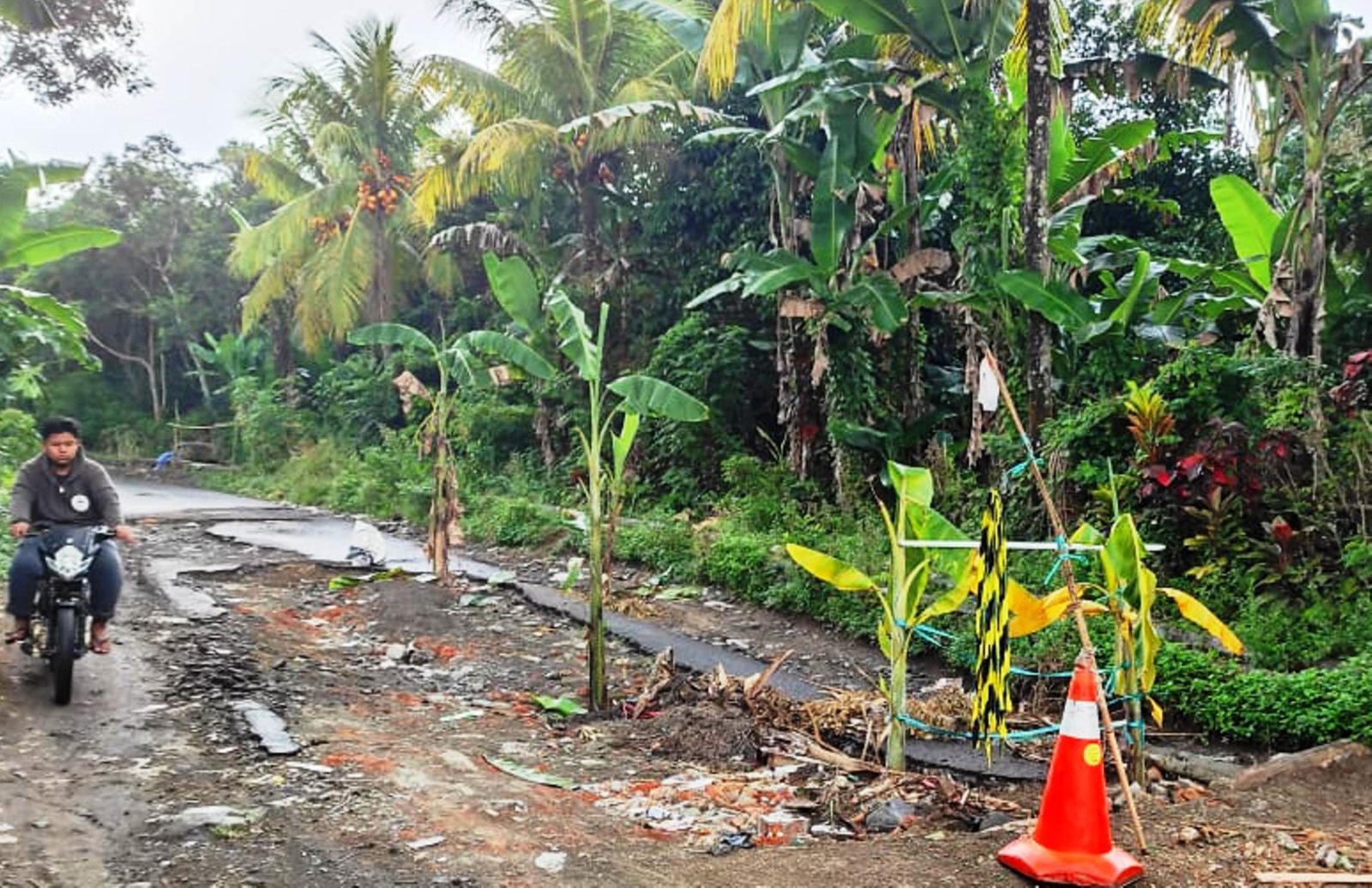 RUSAK PARAH: Seorang warga melewati jalan rusak yang ada di Dusun Pesantek, Desa Pakuan, Kecamatan Narmada, beberapa hari lalu. Sebagai bentuk protes, warga menanam pohon pisang di jalan berlubang tersebut.