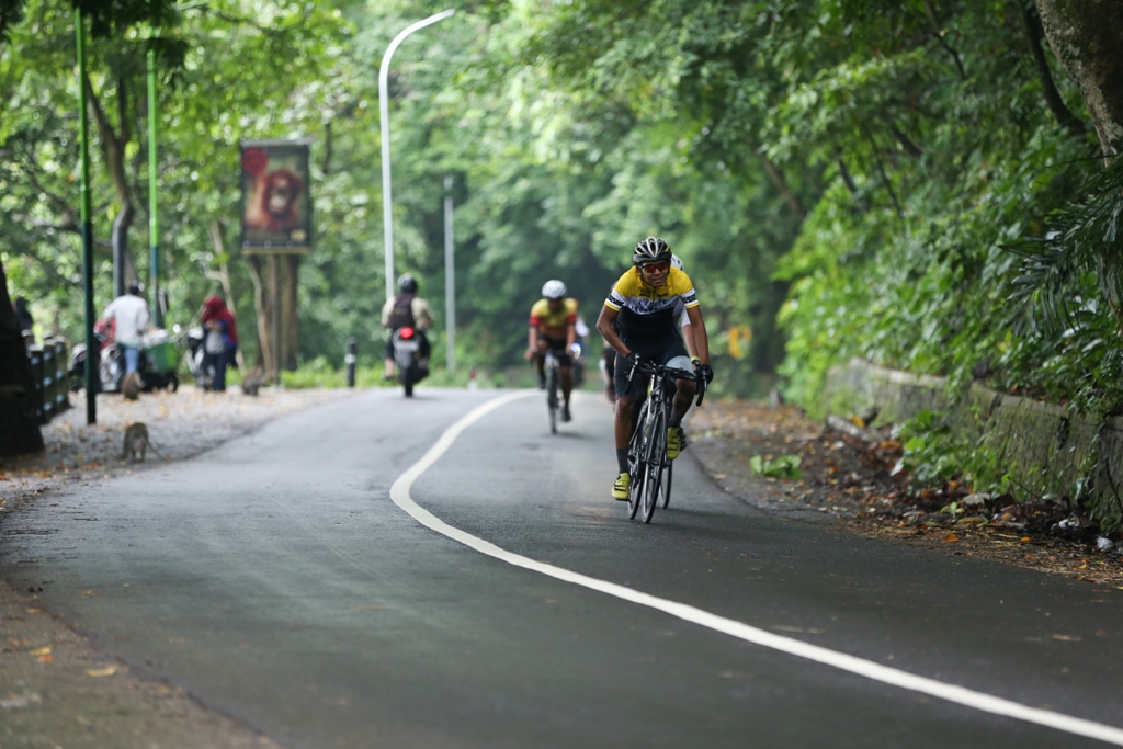 BERSEPEDA: Peserta kejuaraan triathlon saat melintasi Kawasan Hutan Pusuk, Lombok Utara, belum lama ini.