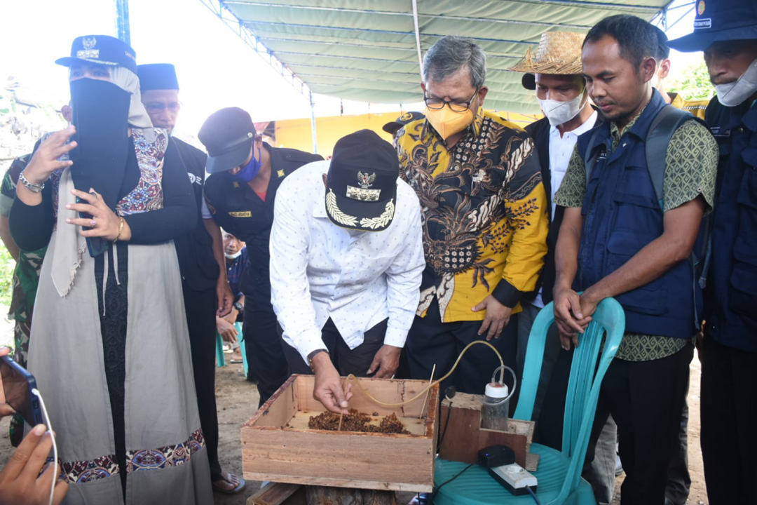 PANEN MADU: Bupati Lombok Utara H Djohan Sjamsu (tengah) memanen madu trigona dari stup milik Kelompok Manis Berkah, Dusun Dangiang Timur, Desa Dangiang, Jumat (10/12).