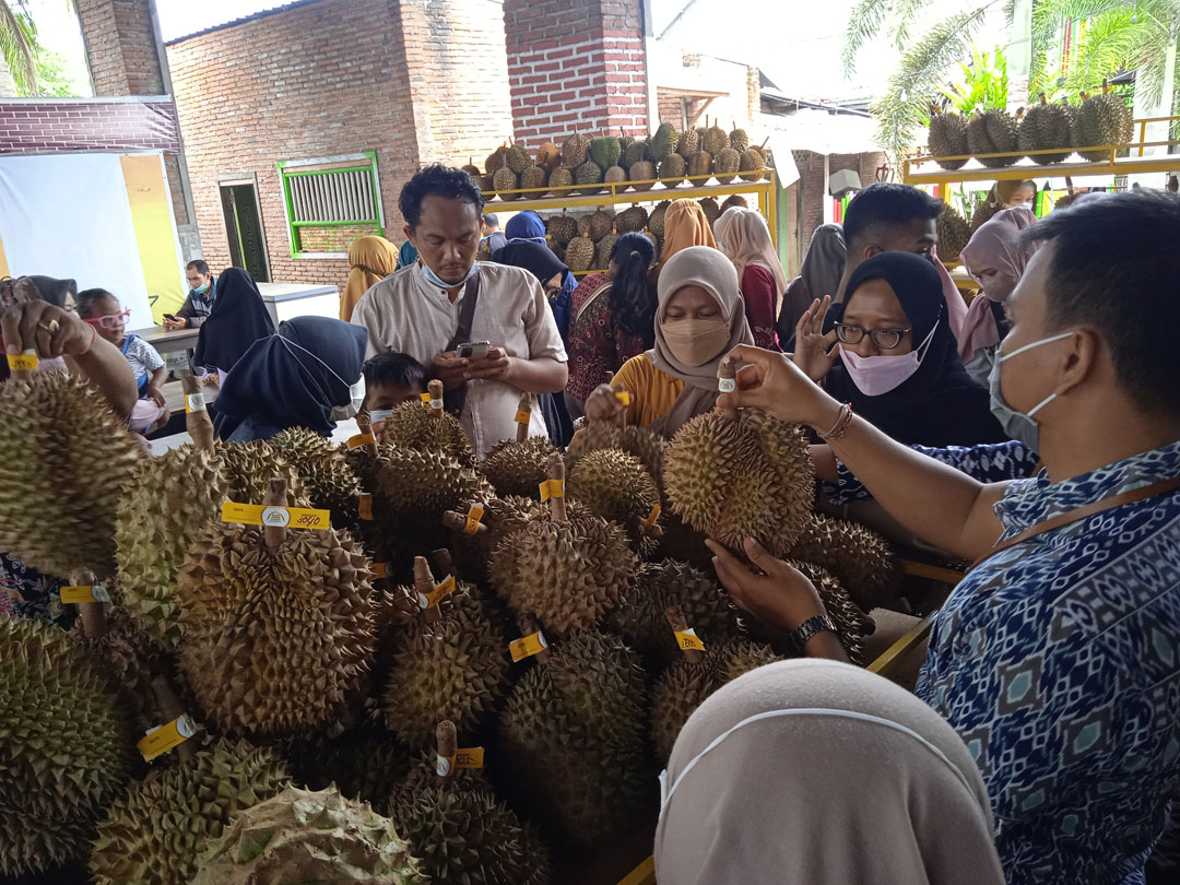 WISATA KULINER: Sejumlah pengunjung memburu durian berukuran jumbo yang dijual di Rumah Durian Lombok, Rembiga, kemarin (30/12).  (Eka/Lombok Post)