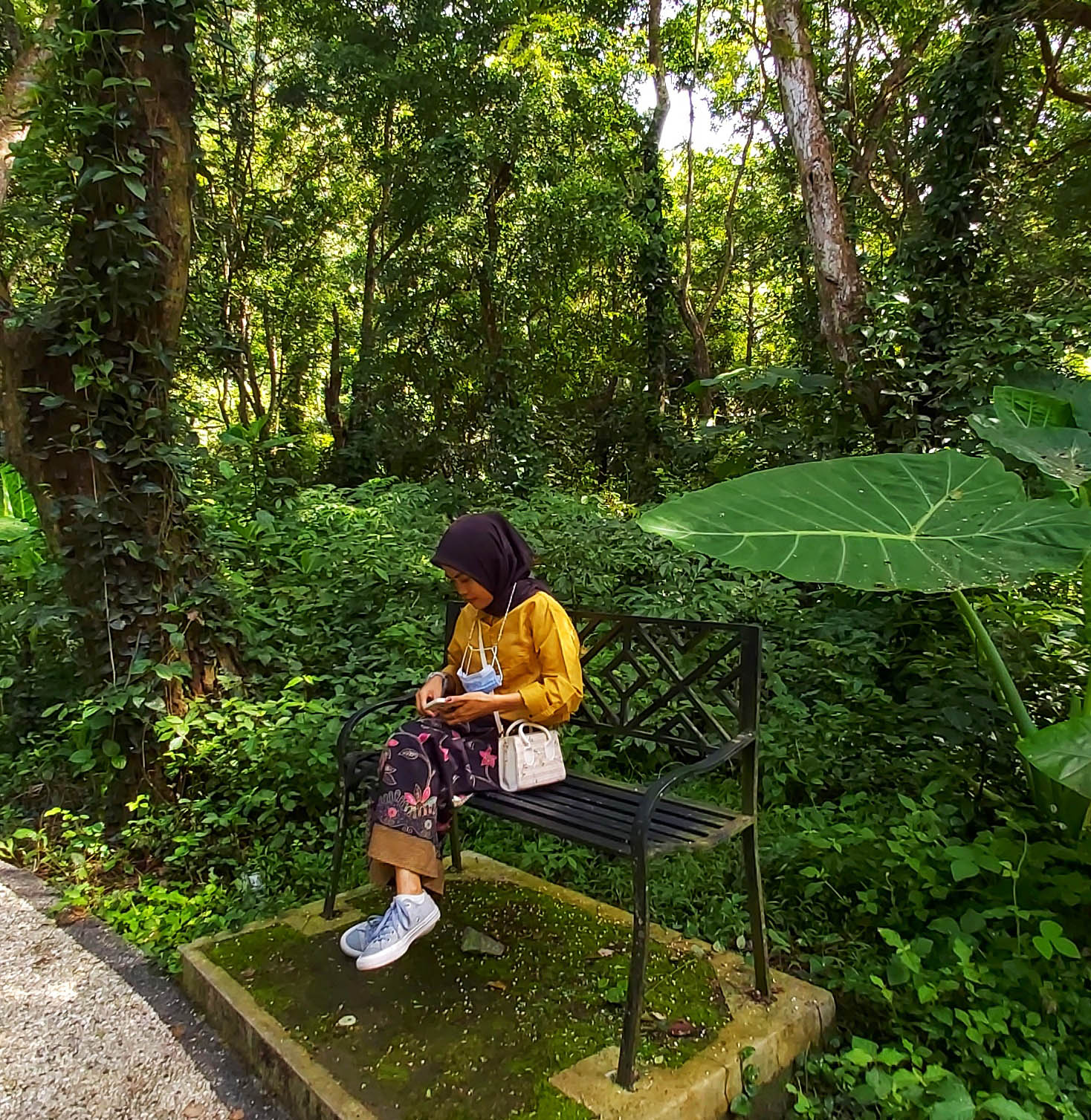 Ilustrasi Hutan (Dok. Lombok Post)