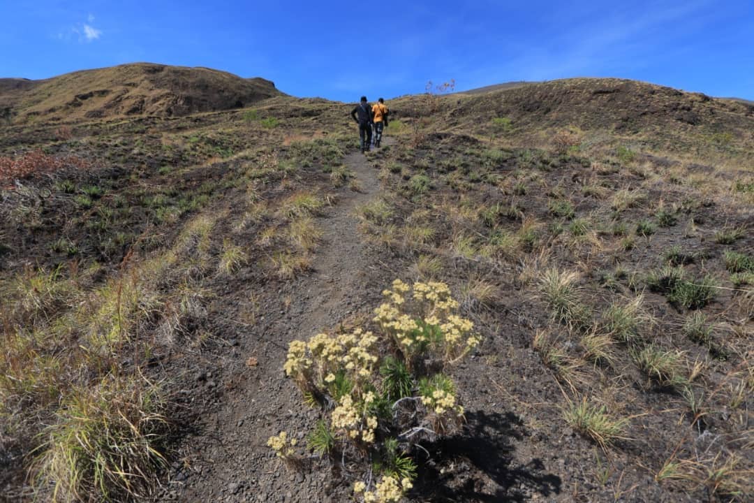 MENIKMATI GUNUNG TAMBORA: Para pendaki sedang menaiki punggung gunung Tambora, beberapa waktu lalu. (FACEBOOK BALAI TAMAN NASIONAL TAMBORA)