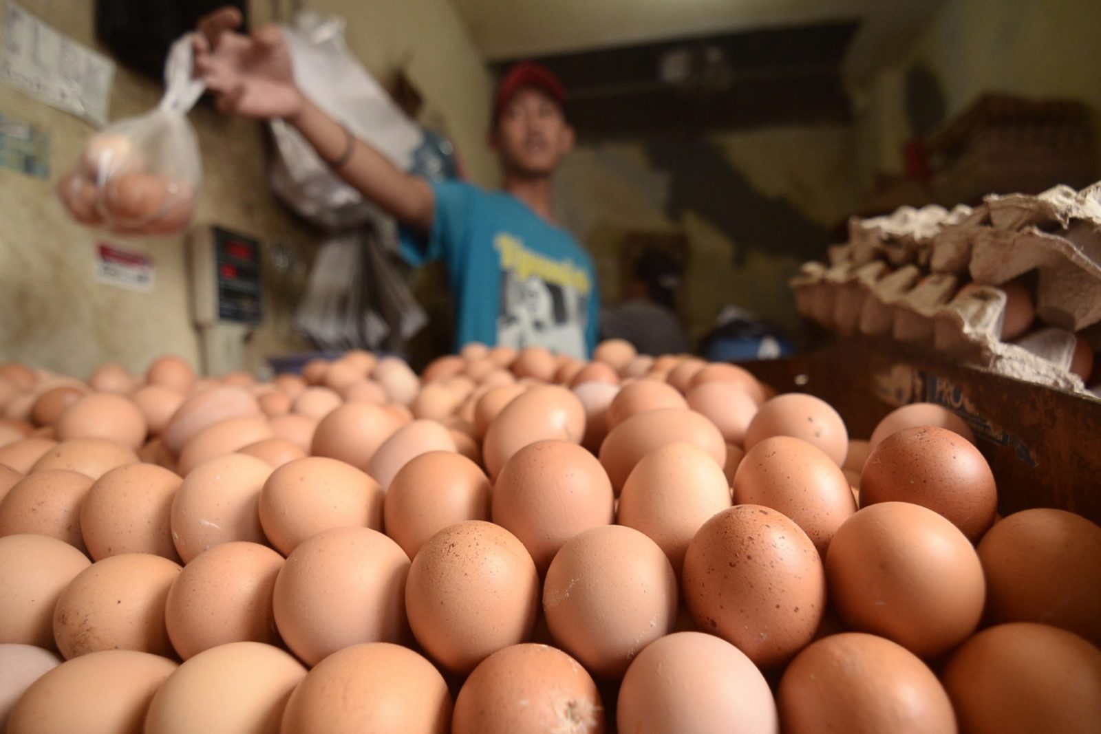 HARGA NAIK: Harga telur di Bima merangkak naik belakangan ini. ((DOK JAWA POS))