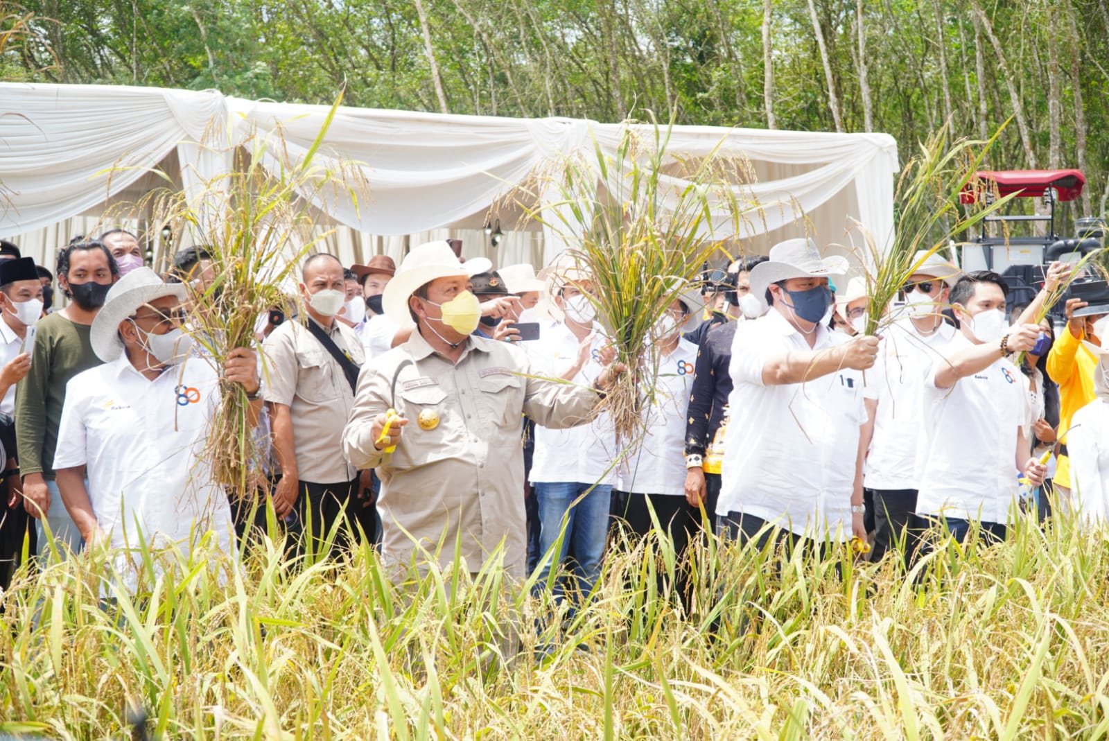 PANEN: Menteri Koordinator Bidang Perekonomian Airlangga Hartarto menyaksikan langsung panen perdana Padi Gogo pada Proyek Penelitian Padi Gogo milik PT Huma Indah Mekar (HIM) di Kabupaten Tulang Bawang Barat, Provinsi Lampung Sabtu (12/02),
