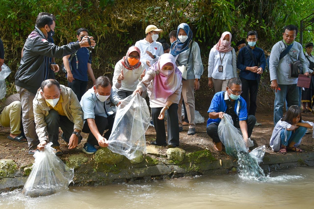 Wagub NTB Hj Sitti Rohmi Djalilah (tengah) bersama Ketua PWI NTB Nasrudin, Ketua FWE NTB Ahmad Bulkaini, dan perwakilan mitra kerja menebar benih ikan di Dusun Pengonong, Desa Batu Kumbung, Lingsar, Lombok Barat, Sabtu (19/2). (Istimewa)