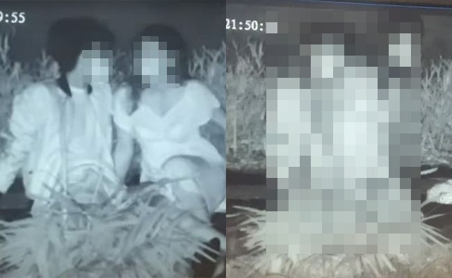 Adegan mesum sepasang muda-mudi di Lapangan Renon yang direkam dua oknum polisi pemantau monitor CCTV. (Istimewa)