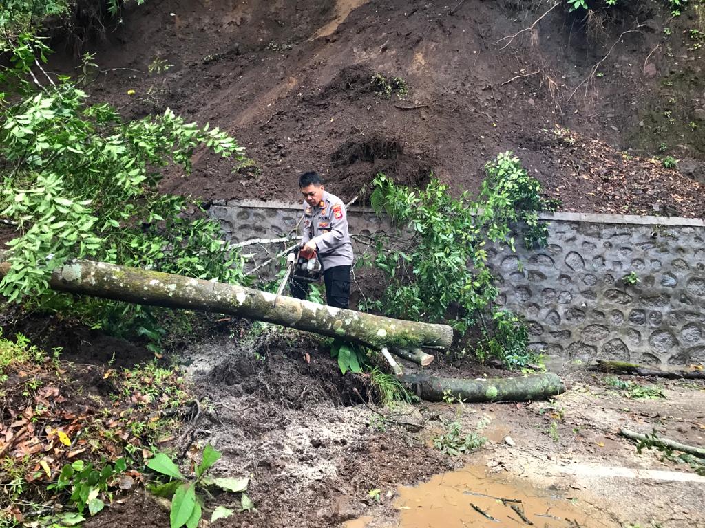 LONGSOR LAGI: Kapolsek Sembalun AKP Lalu Panca Warsa sedang memotong batang pohon yang tumbang bersama material longsor di jalur Pusuk yang menghubungan Kecamatan Sembalun dengan Suela, Selasa (29/3). (Polsek Sembalun untuk Lombok Post)