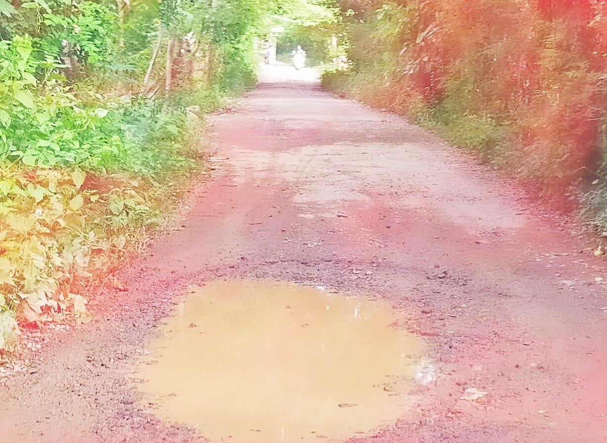 AKSES PARIWISATA: Jalan di Dusun Medang, Desa Sekotong Barat dinilai perlu ditingkatkan statusnya menjadi jalan kabupaten. (IST/LOMBOK POST)