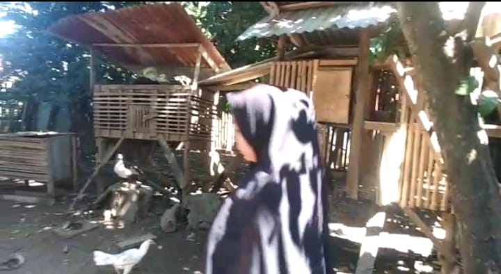 BEBERKAN FAKTA LAIN: Yuni berjalan di dekat kandang ayam peliharaan adiknya AGS, kemarin. (FIRMAN/LOMBOK POST)