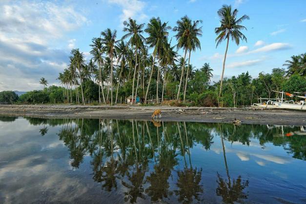 MUARA MENINTING: Inilah muara Sungai Meninting beberapa waktu lalu.( IVAN/LOMBOK POST)