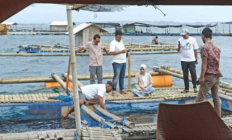 Kegiatan pelatihan budi daya lobster di keramba jaring apung yang diberikan PLN UIP Nusra untuk kelompok nelayan Pasir Putih di Desa Ekas Buana, Lombok Timur. (Foto: Istimewa)