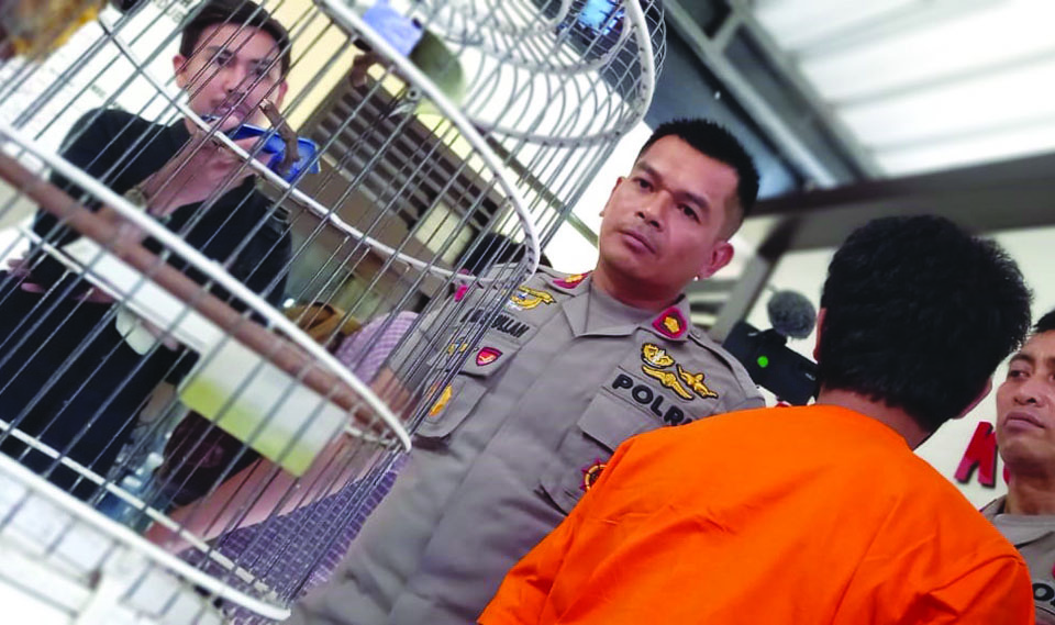 CURI BURUNG: Kapolsek Sandubaya Kompol Muhammad Nasrullah (dua dari kiri) menginterogasi terduga pelaku pencurian burung di mapolsek setempat, Selasa (9/8). (Foto: Harli/Lombok Post)